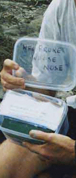 Cache from Who Broke The Nose